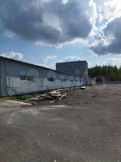 Производственное помещение, 1649.9 м²