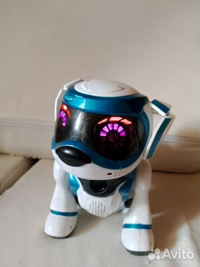 Собака робот Текста игрушка