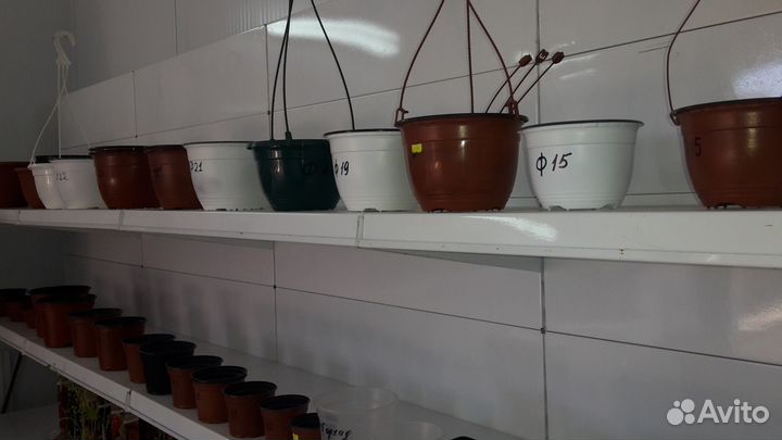 Горшки для растений