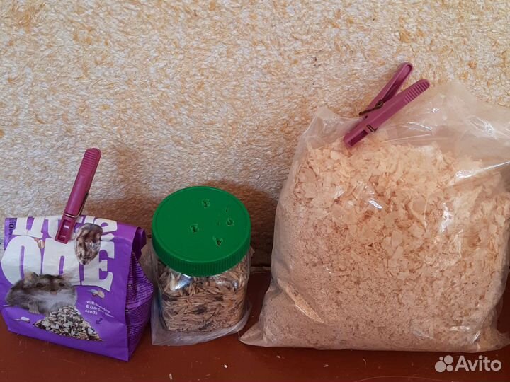 Джунгарский хомяк