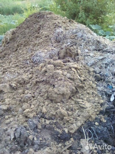 Навоз 2022-2023г