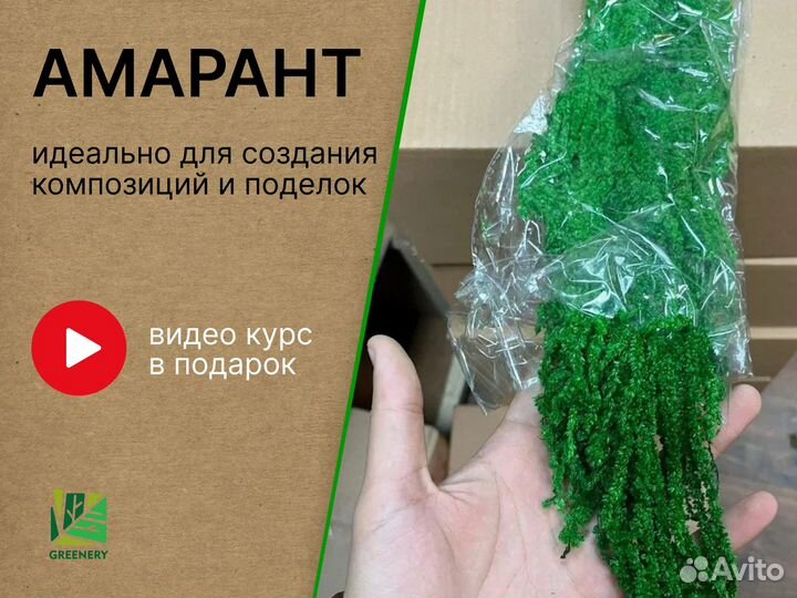 Стабилизированные растения Амарант