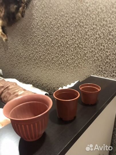 Горшки небольших размеров для комнатных растений
