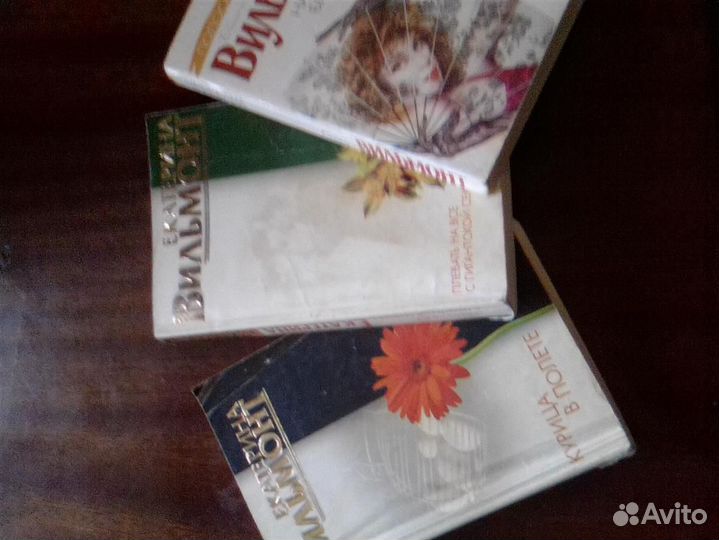 Борис Акунин Сидни Шелдон Екатерина Вильмонт