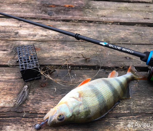 Спиннинги Favorite Blue Bird и White Bird