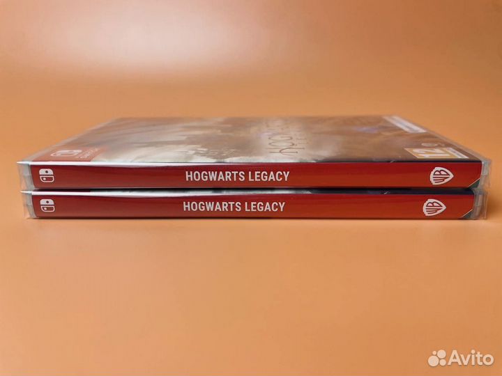 Картридж Hogwarts Legacy Nintendo Switch