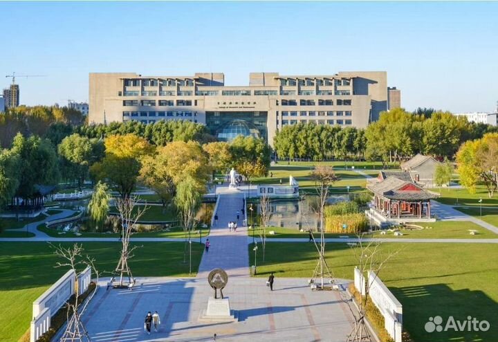 Высшее образование в Китае