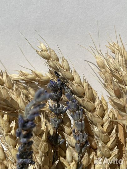 Венок-оберег из колосьев