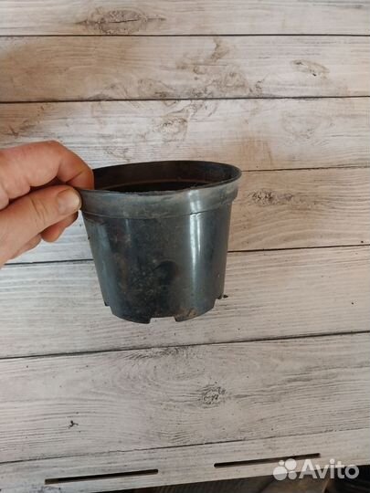 Горшки для растений 1л б/у