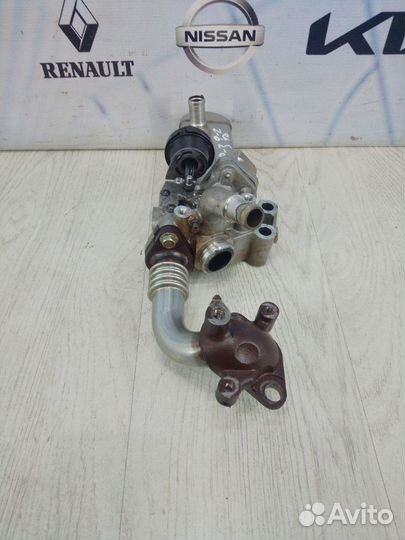 Радиатор системы EGR Nissan pathfinder R51