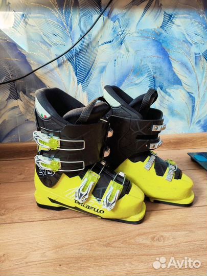 Горнолыжные ботинки