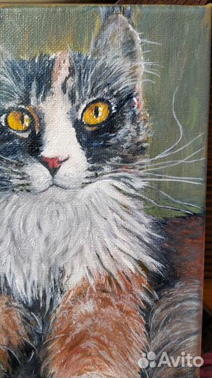 Киса Алиса. Парадный портрет