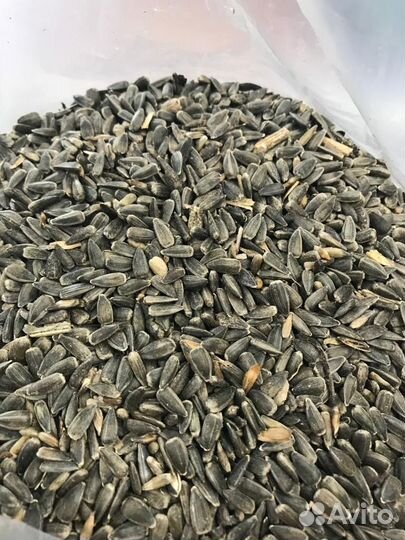 Семечка подсолнечника(для птиц)