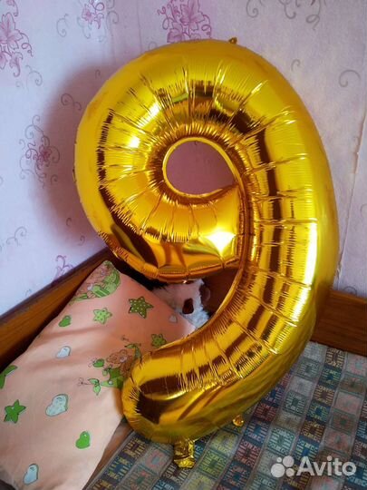 Надувные шары