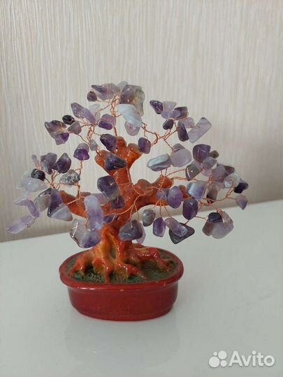 Денежное дерево