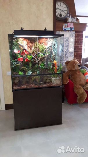 Профессиональное обслуживание аквариумов и террари