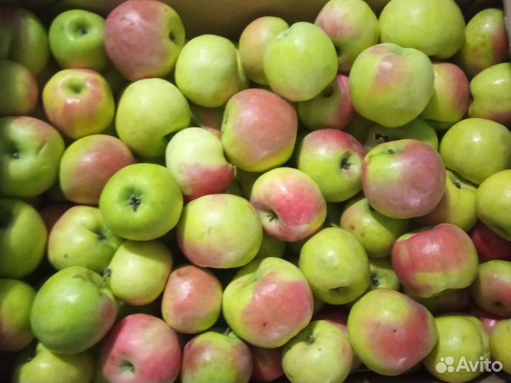 Яблоки мелким оптом