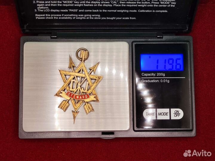 Орден тайного наставника. Стюард