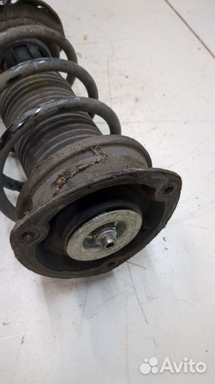 Амортизатор подвески Skoda Octavia (A7), 2016