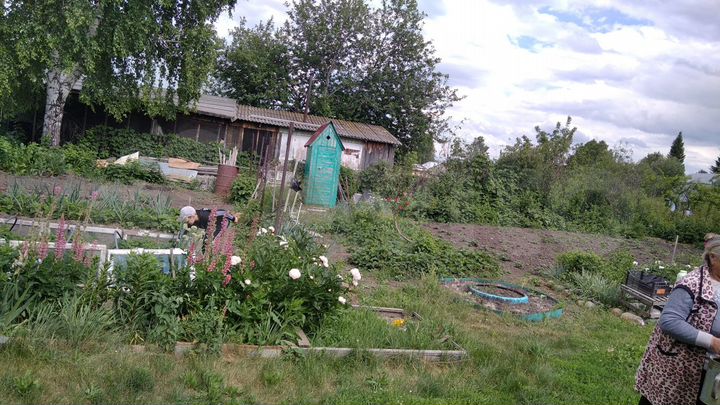 Участок 6 сот. (СНТ, ДНП)