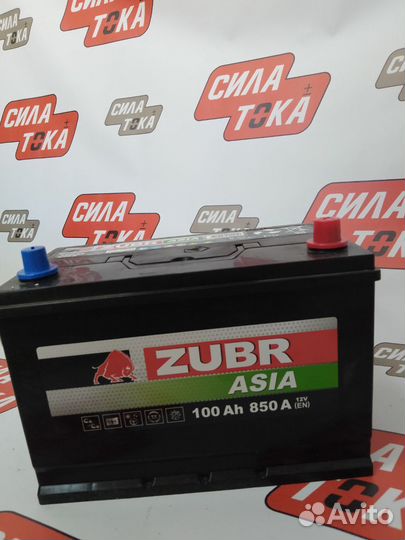 Аккумулятор zubr Asia 100ah