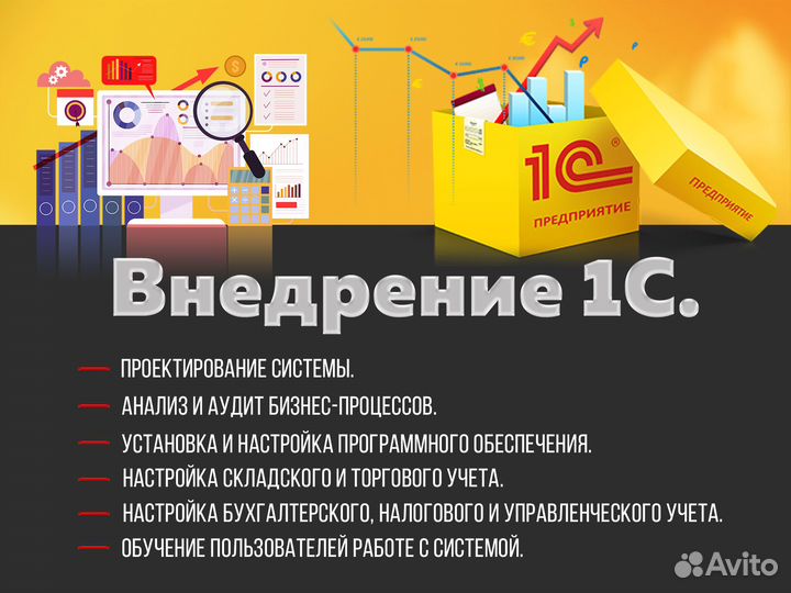 Программист 1С (покупка, внедрение, обучение)
