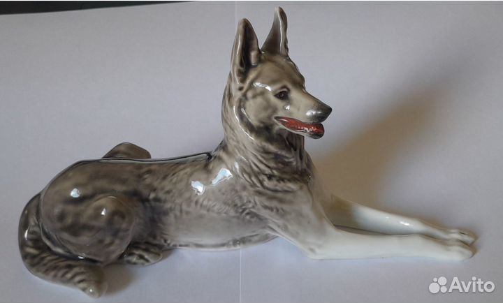 Овчарка лфз.СССР