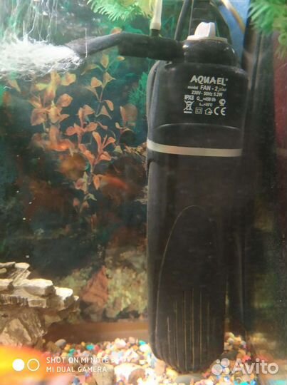 Аквариум с рыбками