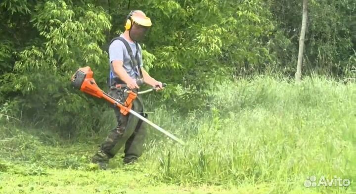 Аренда газонокосилки,триммера,аэратора