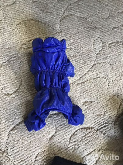 Одежда для маленьких собак