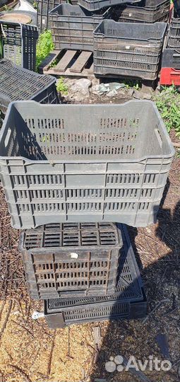 Пластиковые ящики бу
