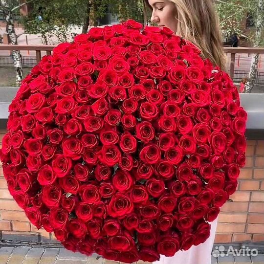 Роза свежий срез