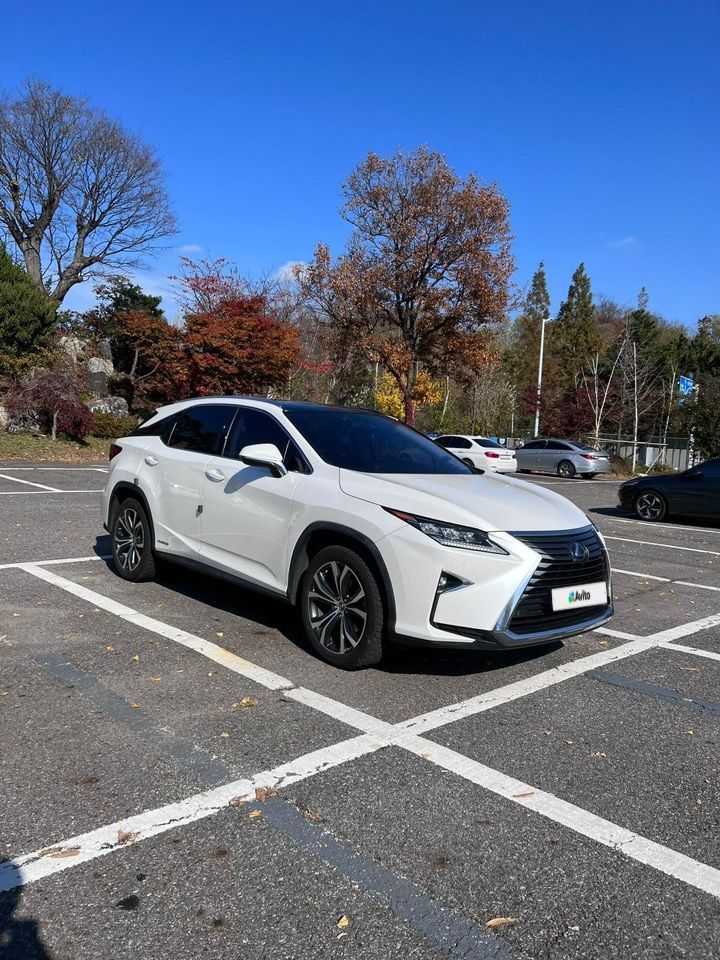 Lexus RX: фото владельца