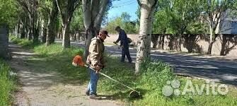 Покос травы