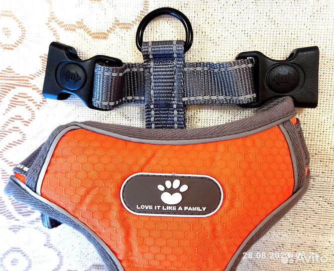 Ошейник, шлейка и намордник новые