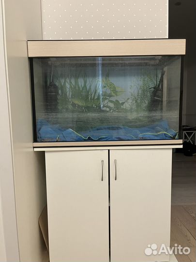 Аквариум вместе с тумбой