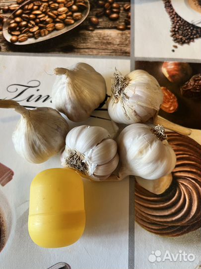 Чеснок яровой (летний)