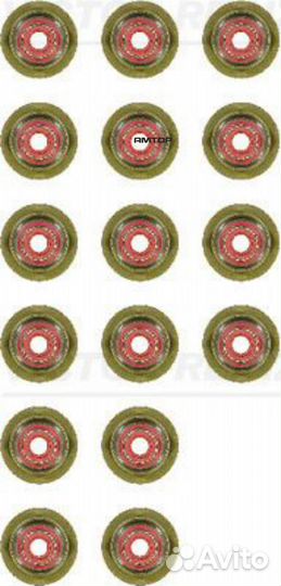 Victor reinz 12-37281-01 Комплект маслосъёмных кол