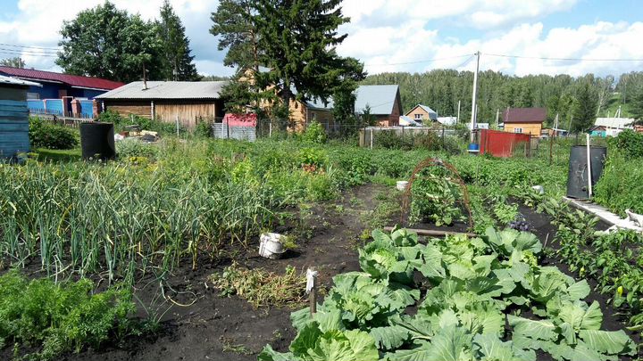 Участок 21 сот. (ИЖС)