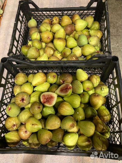 Инжир (ягода)