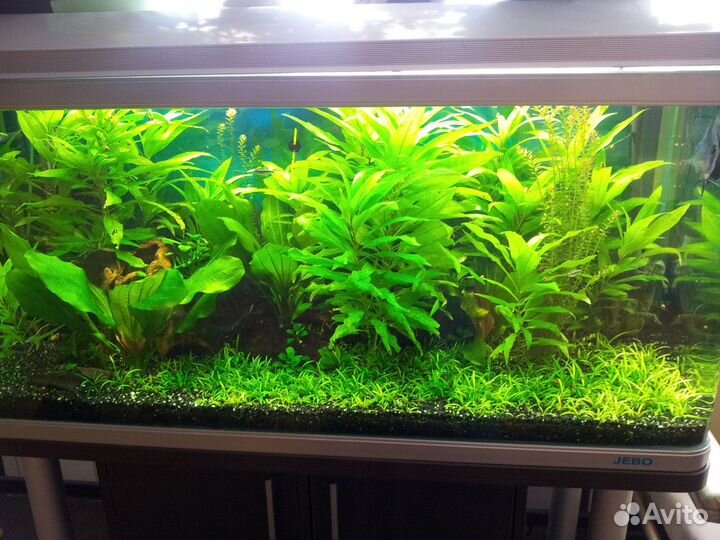 Грунт для аквариума черный