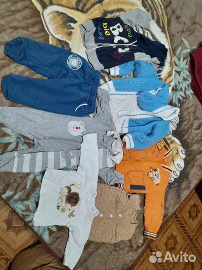 Отдам бесплатно