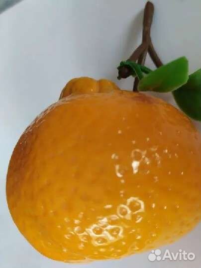 Фрукты декоративные