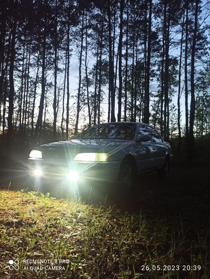 Toyota Corolla: фото владельца