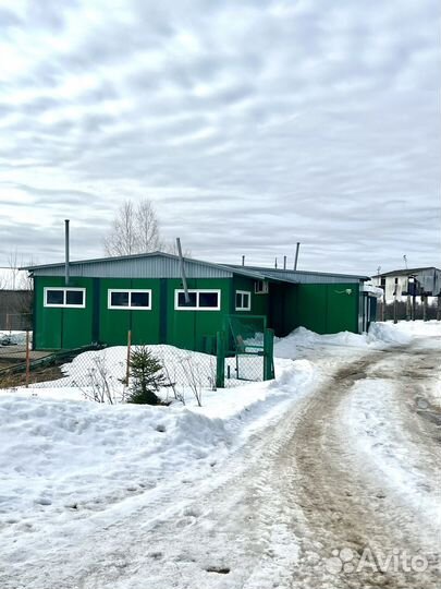 Молочное хозяйство в Ивановской области