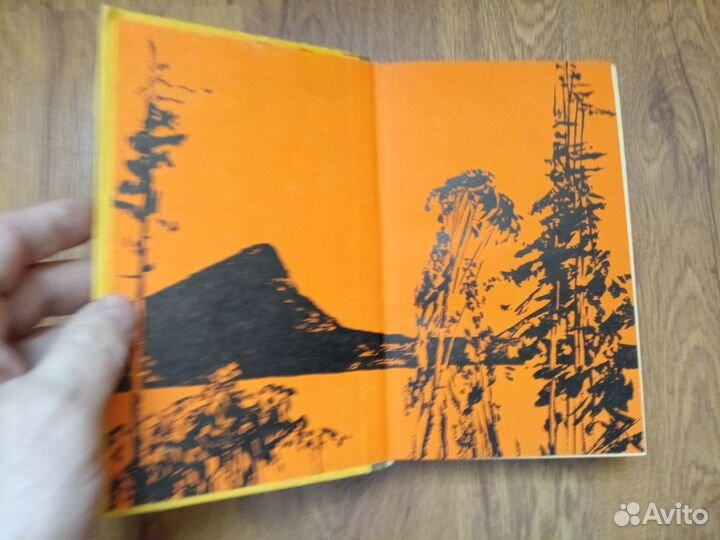 Дмитрий Нагишкин. Сердце Бонивура. 1984 год