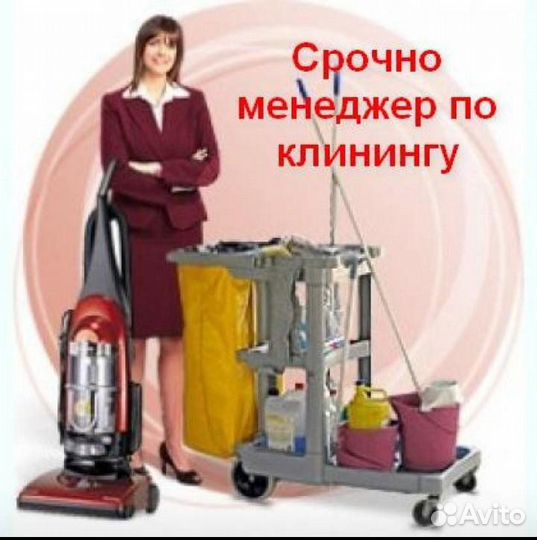 Разъездной менеджер клининга на сетевые объекты