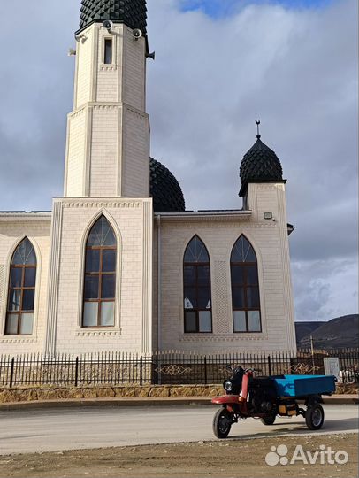 Мотороллер Муравей