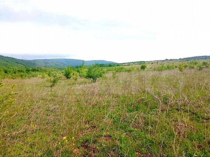 Участок 10 сот. (СНТ, ДНП)