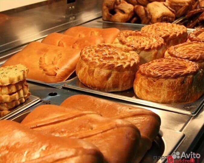 Животные, птица